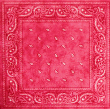 DCWV 12 X 12 Red Bandana Scrapbook Paper