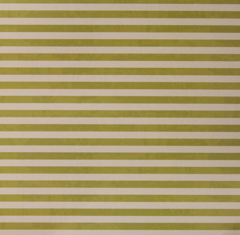 Craft Smith 12" X 12" Sea Glass Moss Green Stripes Textured Cardstock Scrapbook Paper