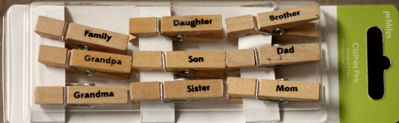 Pebbles Family Clothes Pins Embellishments