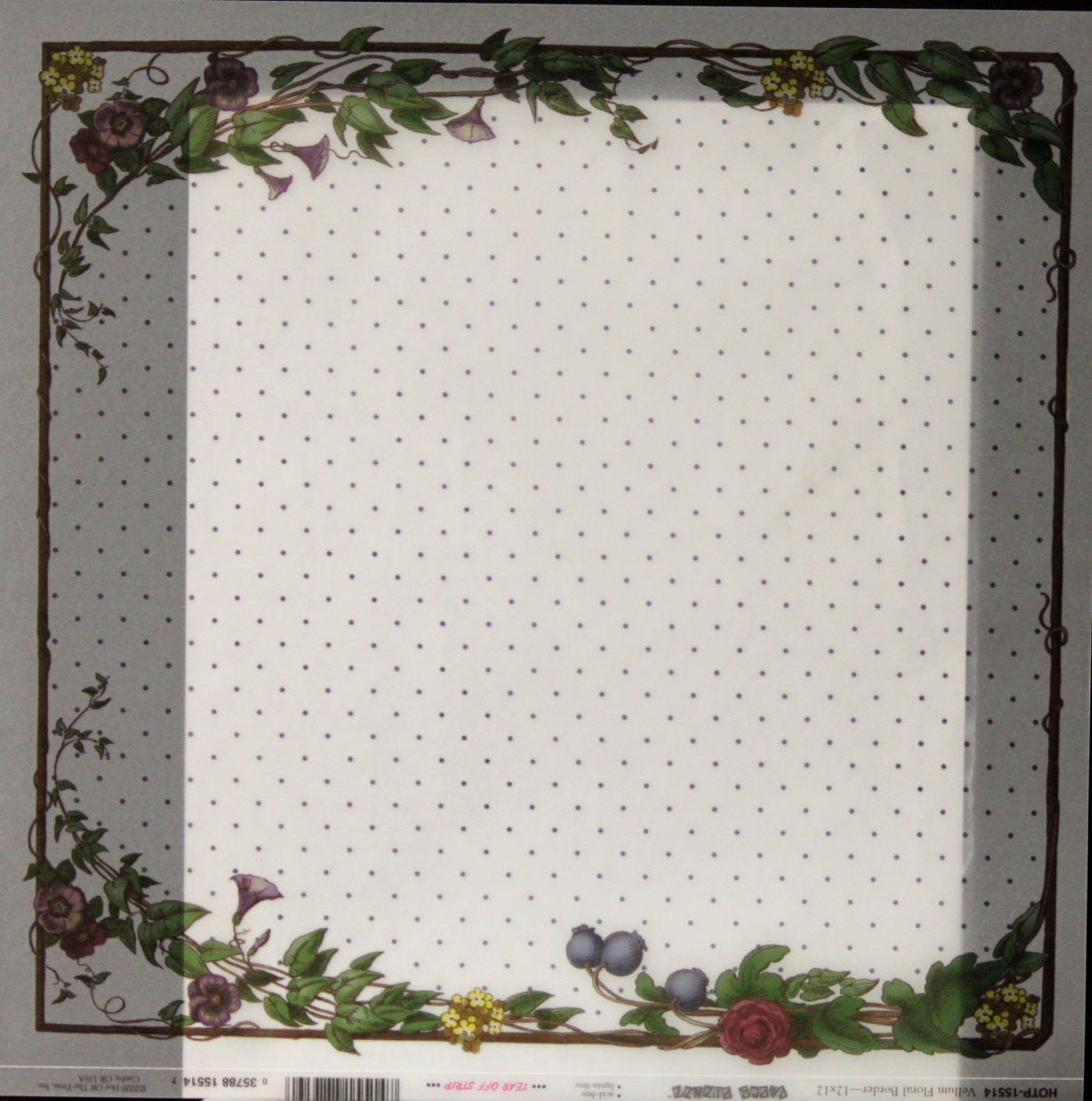 Paper Pizazz 12 x 12 Floral Border Vellum Scrapbook Paper - SCRAPBOOKFARE