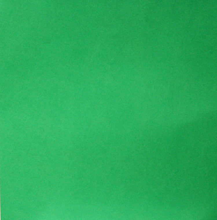 Primary Green 12" x 12" Heavy Cardstock Paper